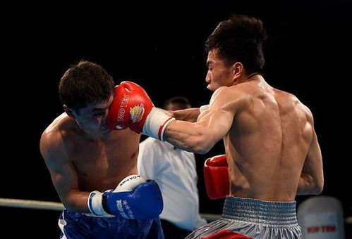 拳擊世錦賽中國雙雄晉級四強，明晨決戰奧運資格